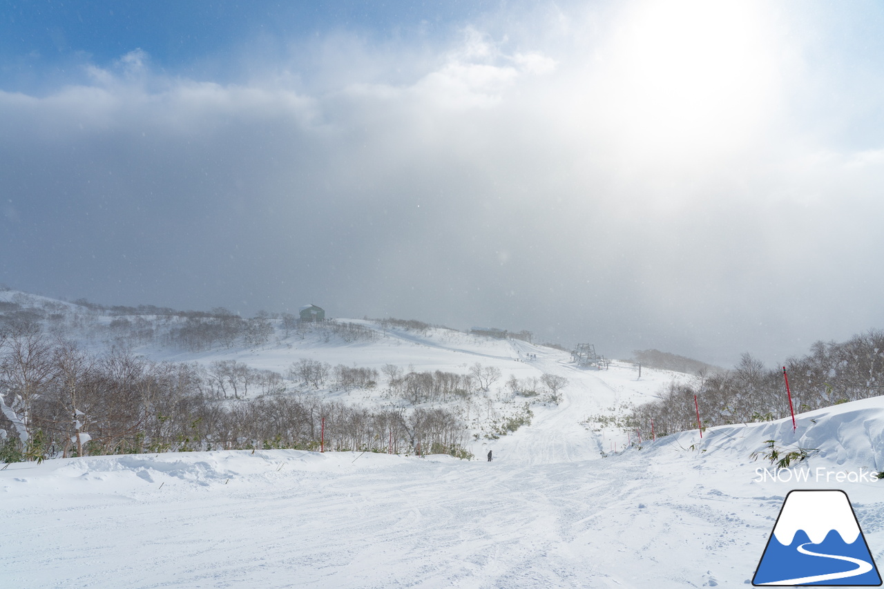 ニセコビレッジ｜Xmasと年末年始に間に合った！山頂気温「-18℃」。待望の寒波でパウダーシーズン到来(^^)/